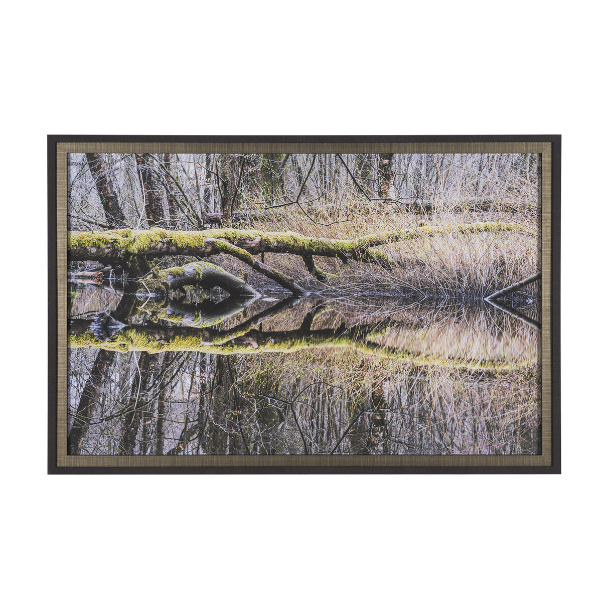 Branchscape Moss - Reflect by Mikael Svensson a Framed Photo Art Print Matted under Glass from Mercana - Luna Furniture