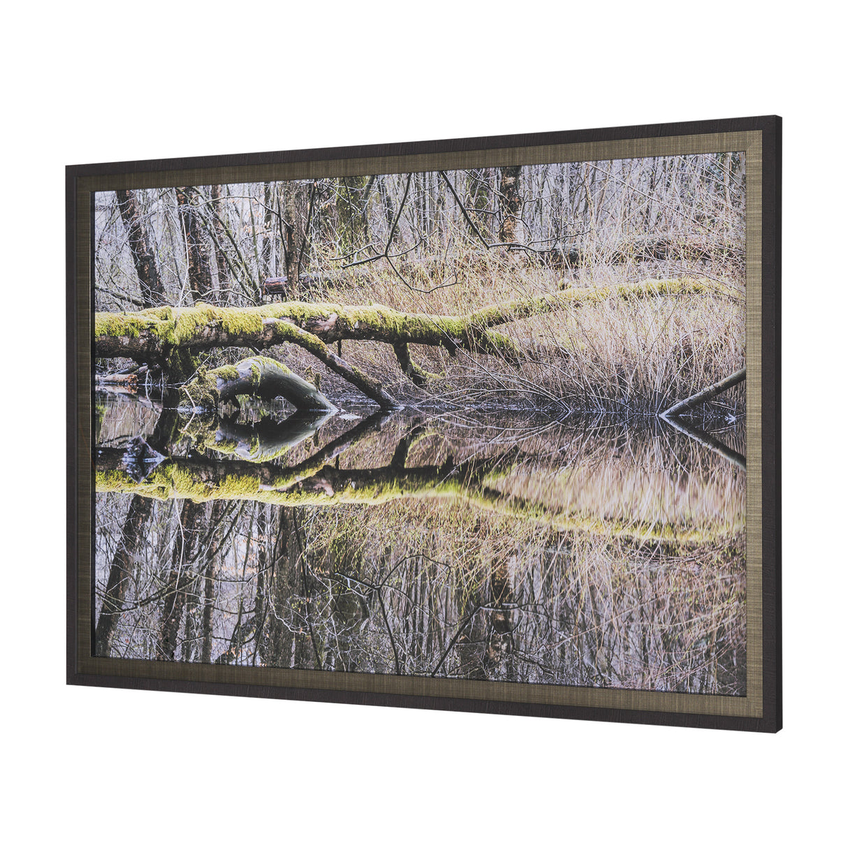 Branchscape Moss - Reflect by Mikael Svensson a Framed Photo Art Print Matted under Glass from Mercana - Luna Furniture