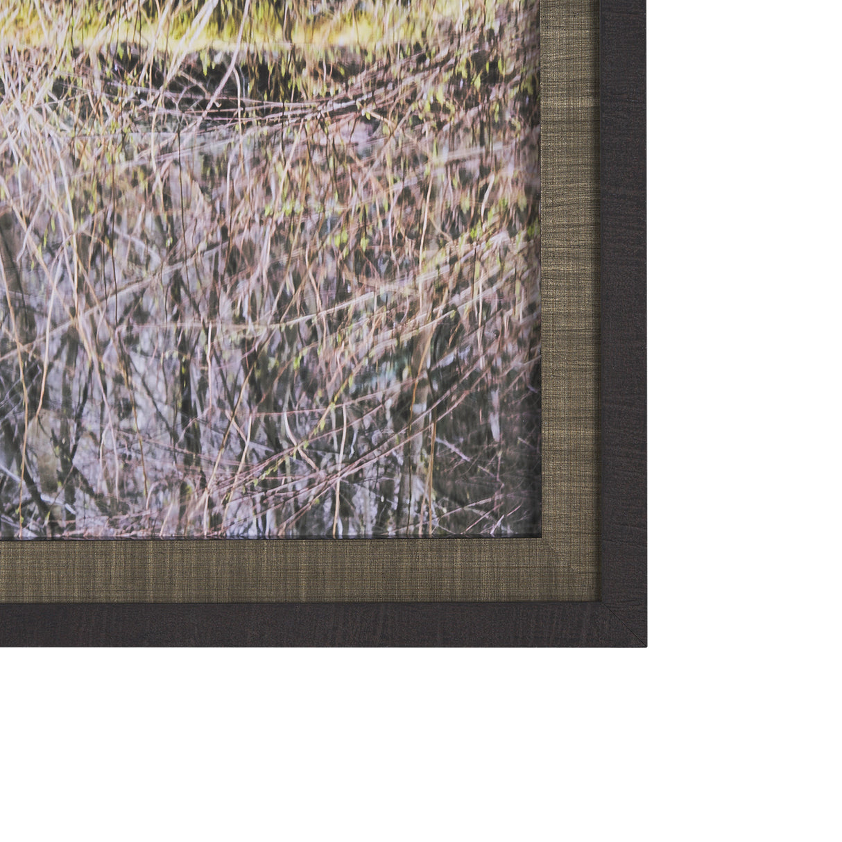 Branchscape Moss - Reflect by Mikael Svensson a Framed Photo Art Print Matted under Glass from Mercana - Luna Furniture