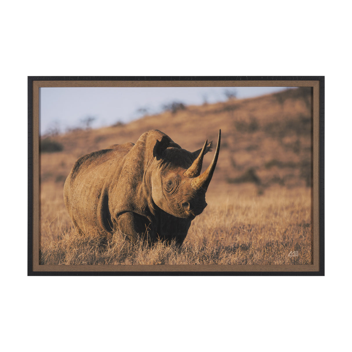 Kenyan Rhino by Max Blakesberg Studios a Hand Embellished Framed Photo Art Print Matted under Glass from Mercana - Luna Furniture