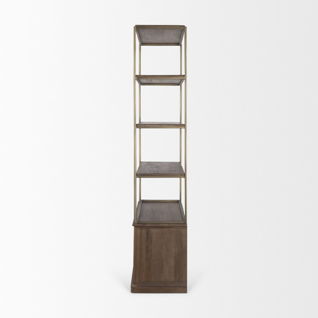 Baron Dark Brown Wood w/ Antiqued Aged Brass Metal 2-Door Open Shelving Unit from Mercana - Luna Furniture