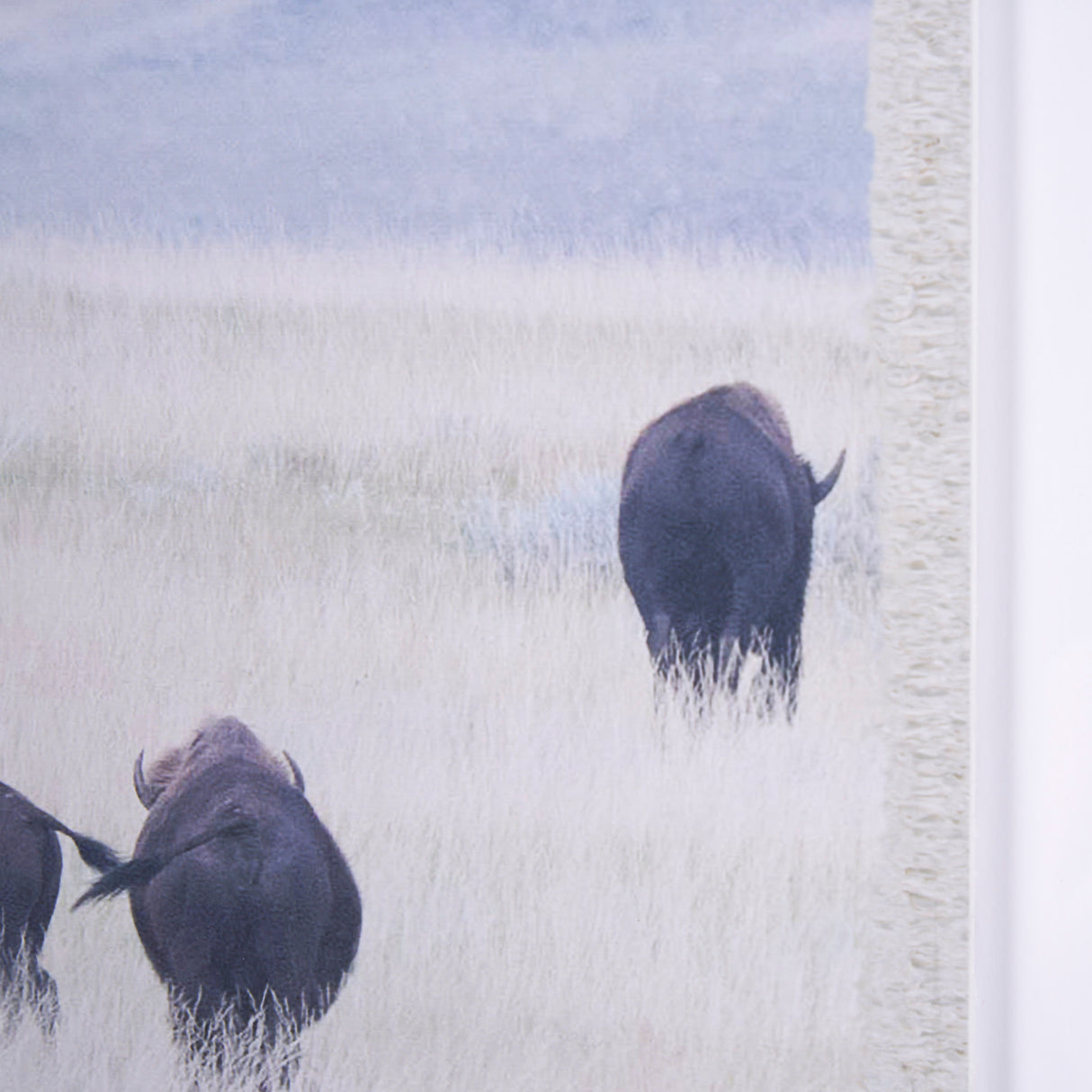 Grazing Herd (Set of 2) by Chad Mackay a Framed Photo Art Print Matted under Glass from Mercana - Luna Furniture