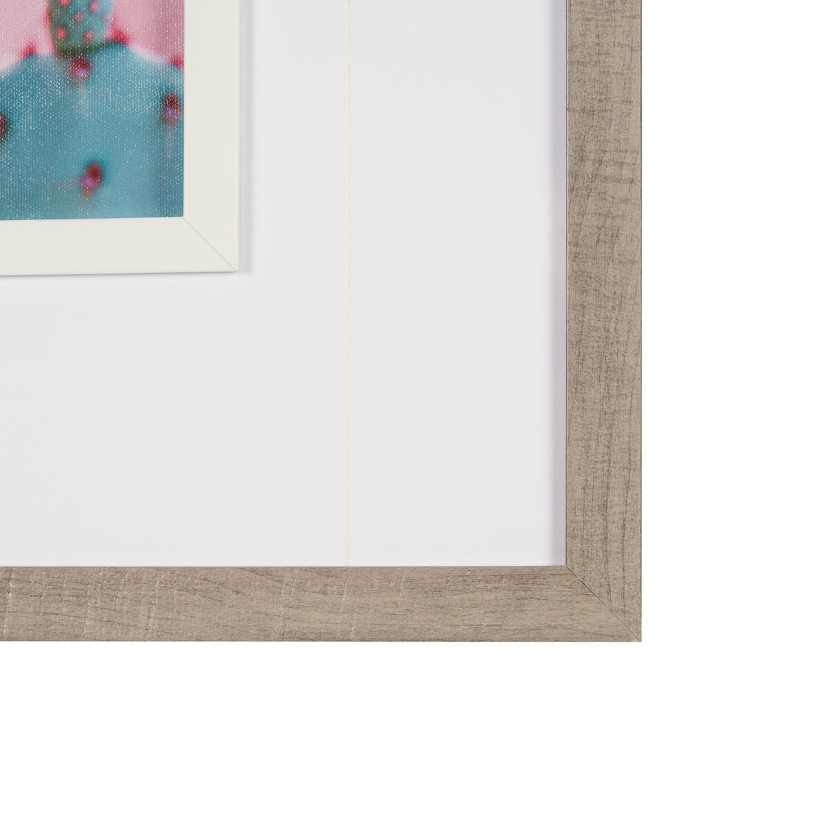 Blush Botanicals - Prickles by Philippe Hugonnard a Hand Embellished Framed Photo Art Print Matted u from Mercana - Luna Furniture