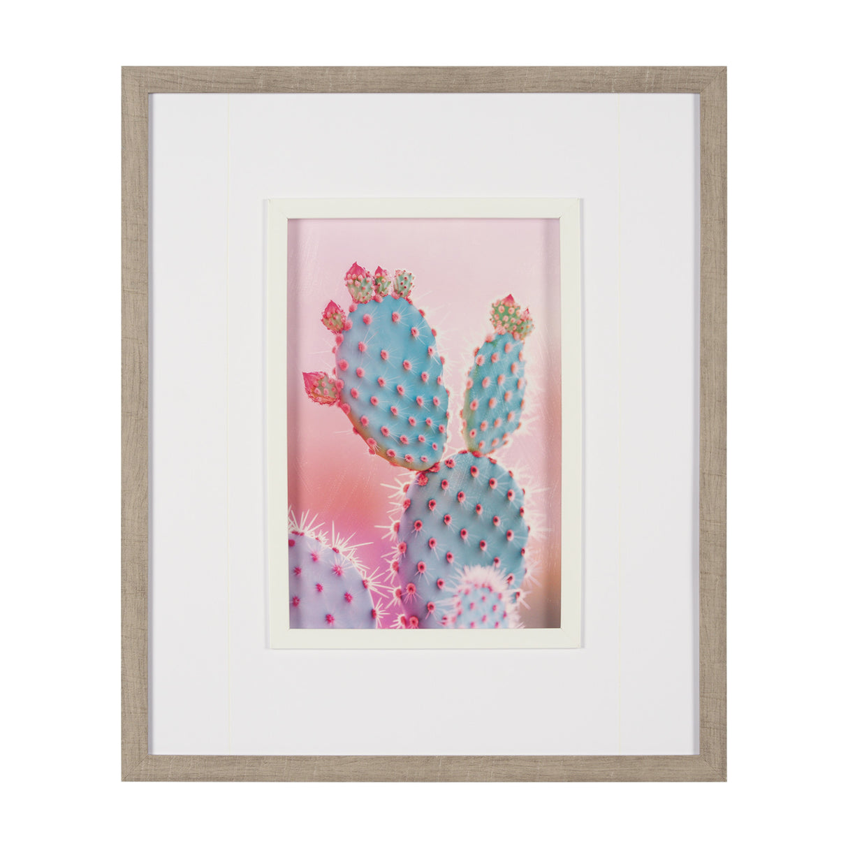 Blush Botanicals - Spines by Philippe Hugonnard a Hand Embellished Framed Photo Art Print Matted und from Mercana - Luna Furniture