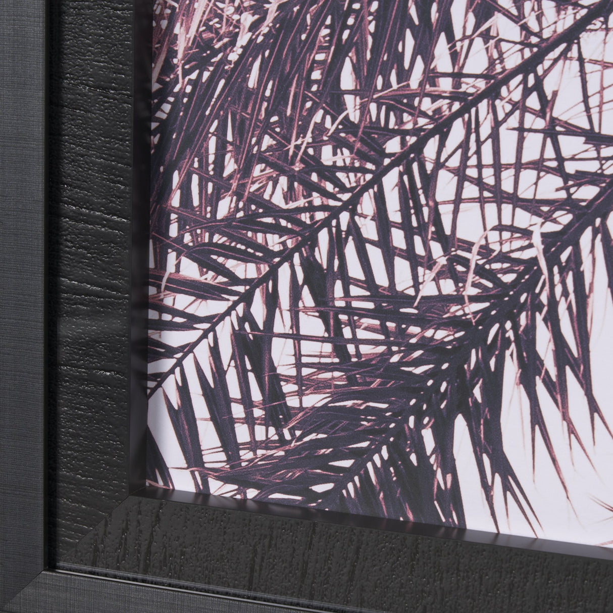 Pink Palms Horizontal by Deborah Revell a Framed Photo Art Print Matted under Glass from Mercana - Luna Furniture