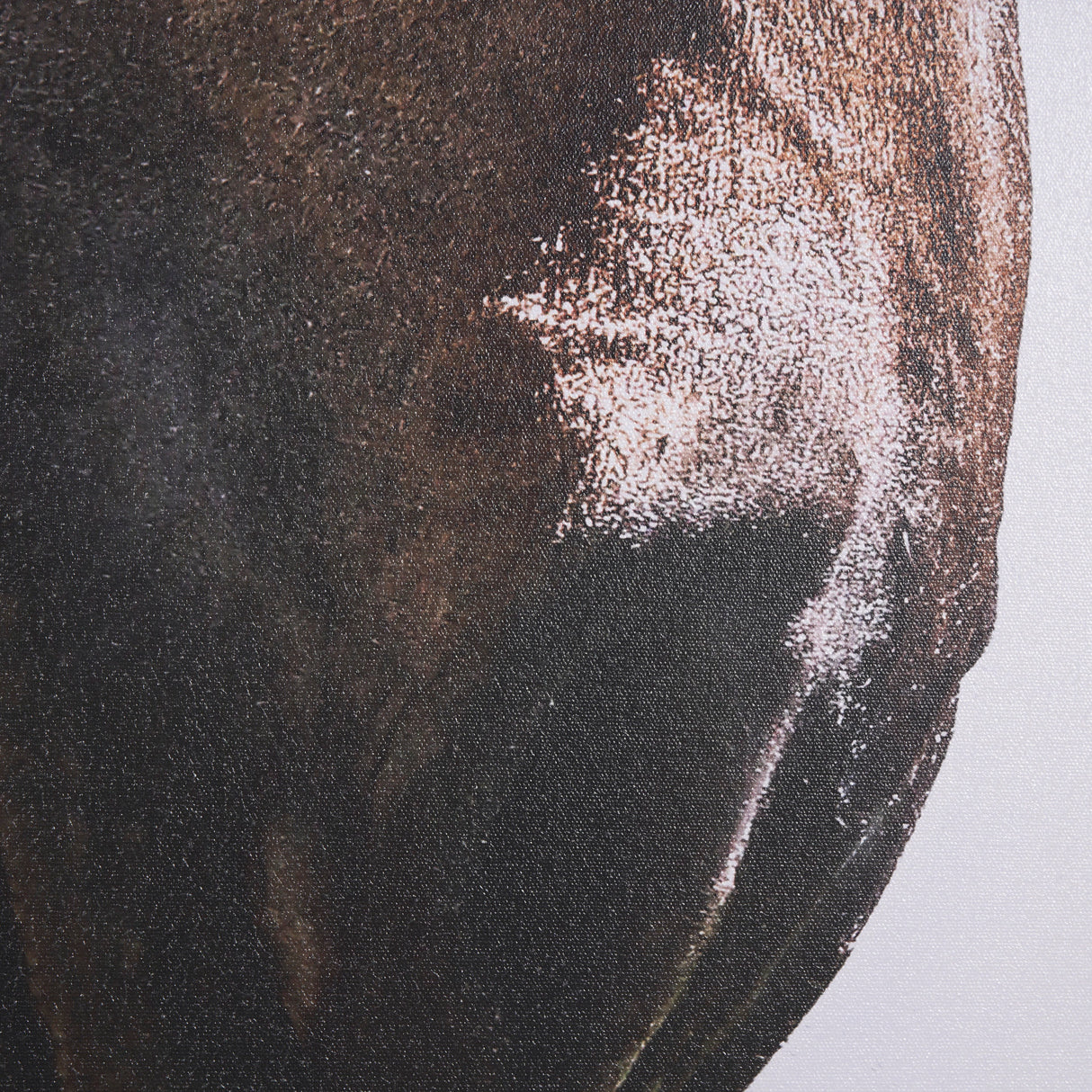Bingo by Mercana Studio a Hand Embellished Textured Framed Canvas from Mercana - Luna Furniture