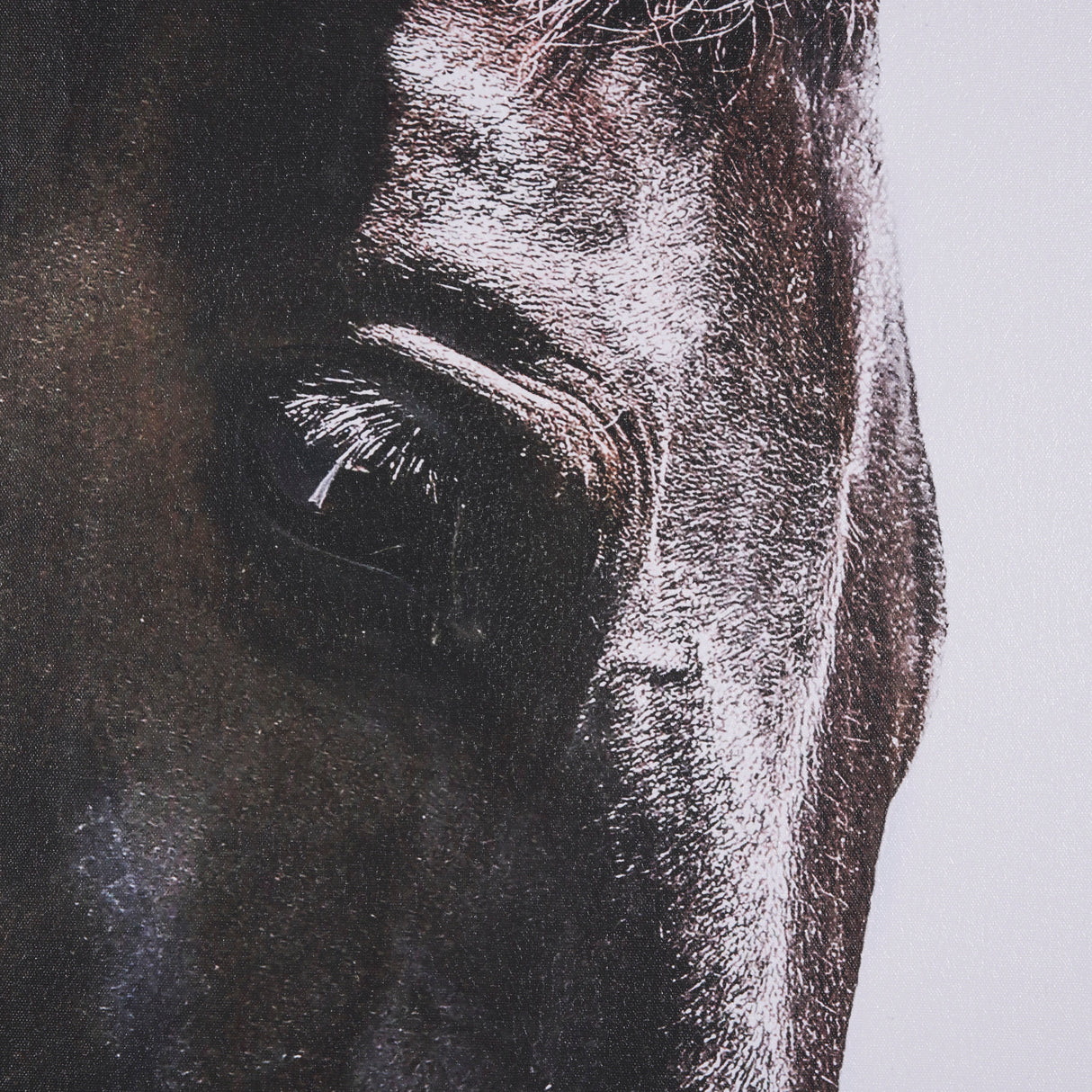 Bingo by Mercana Studio a Hand Embellished Textured Framed Canvas from Mercana - Luna Furniture