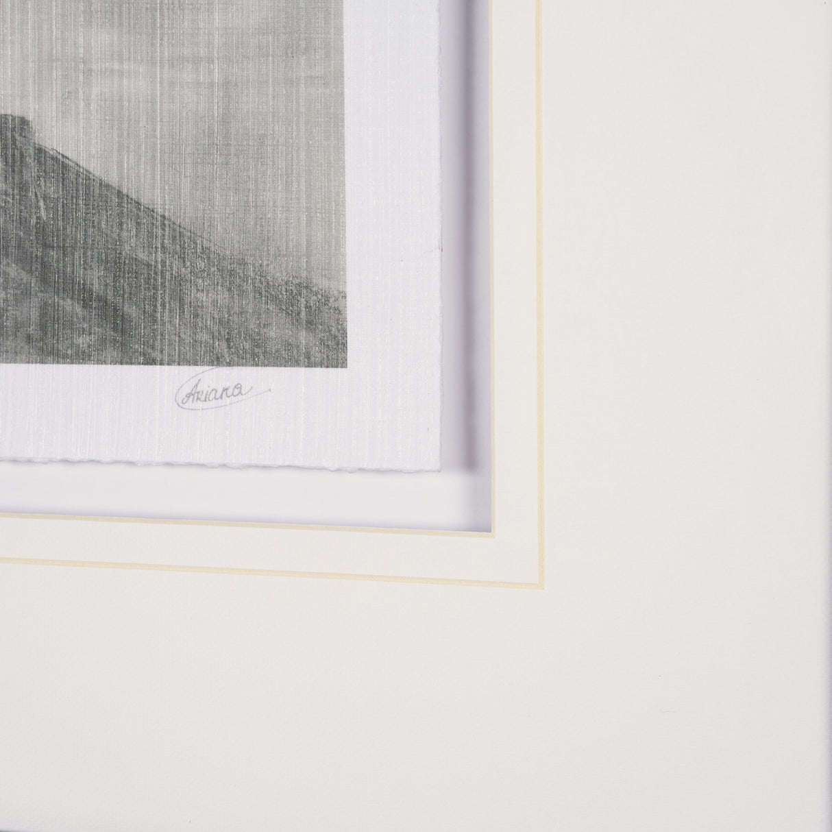 Heron Sketch by Mercana Studio a Hand Embellished Framed Art Print Matted under Glass from Mercana - Luna Furniture