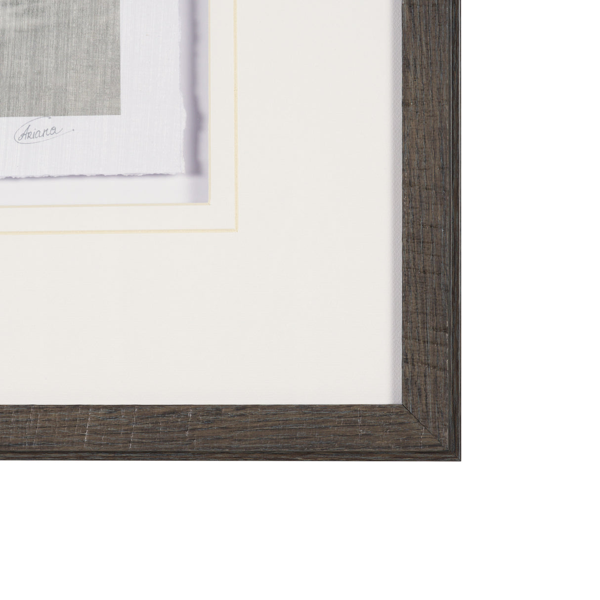 Pelican Sketch by Mercana Studio a Hand Embellished Framed Art Print Matted under Glass from Mercana - Luna Furniture