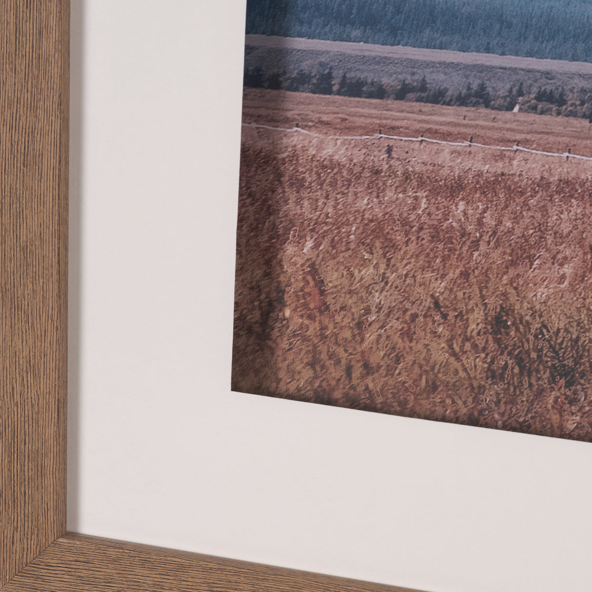 Historic Row IV by Nathan Larson a Framed Photo Art Print Matted under Glass from Mercana - Luna Furniture