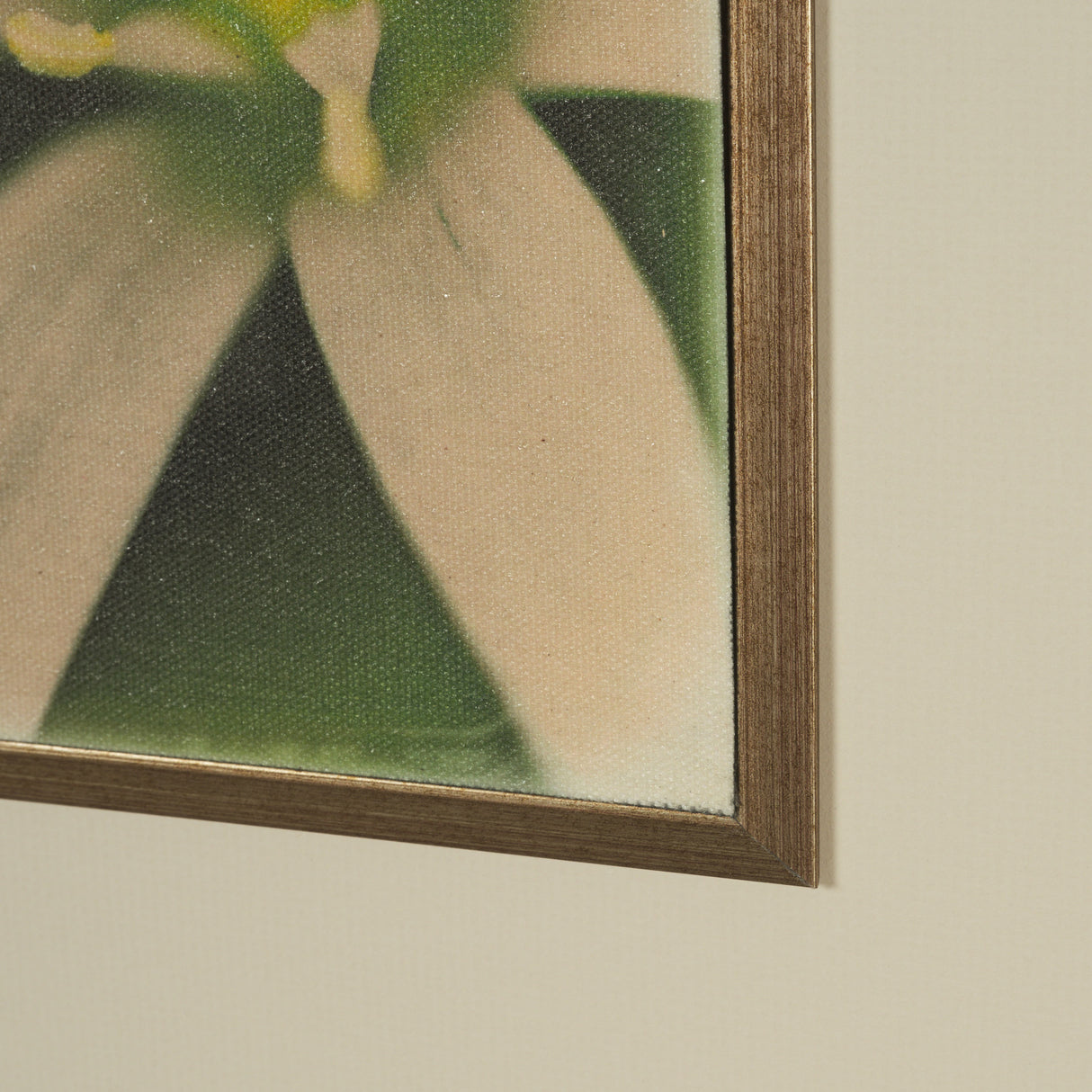 Floral Finesse by Michael Banks a Hand Embellished Framed Photo Art Print Matted under Glass from Mercana - Luna Furniture