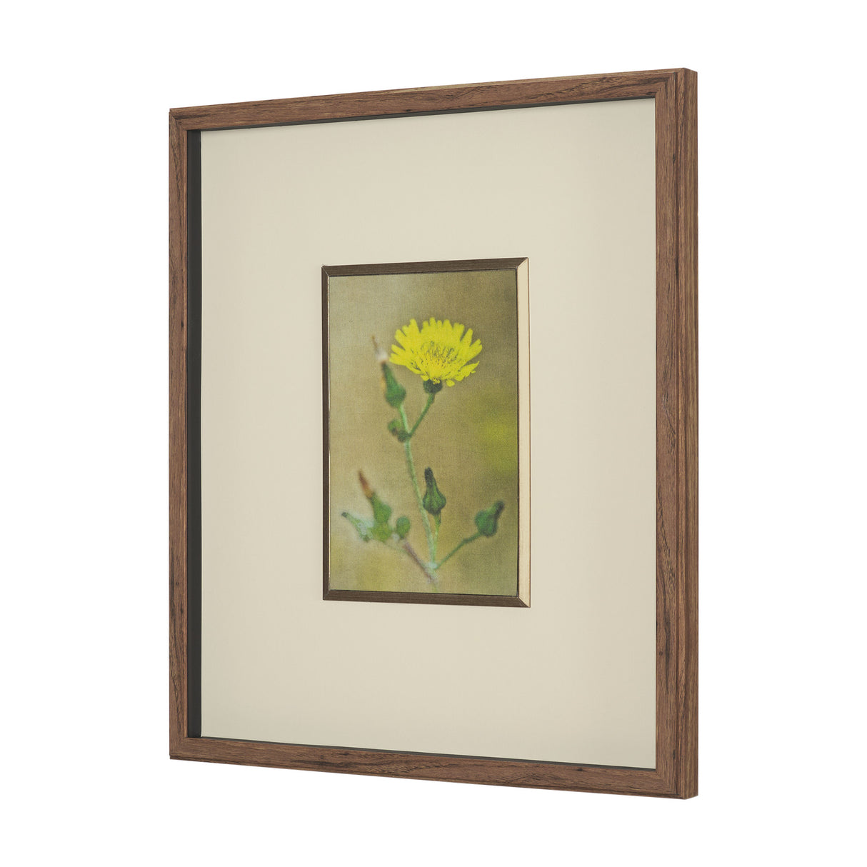 Leaf Charm by Michael Banks a Hand Embellished Framed Photo Art Print Matted under Glass from Mercana - Luna Furniture