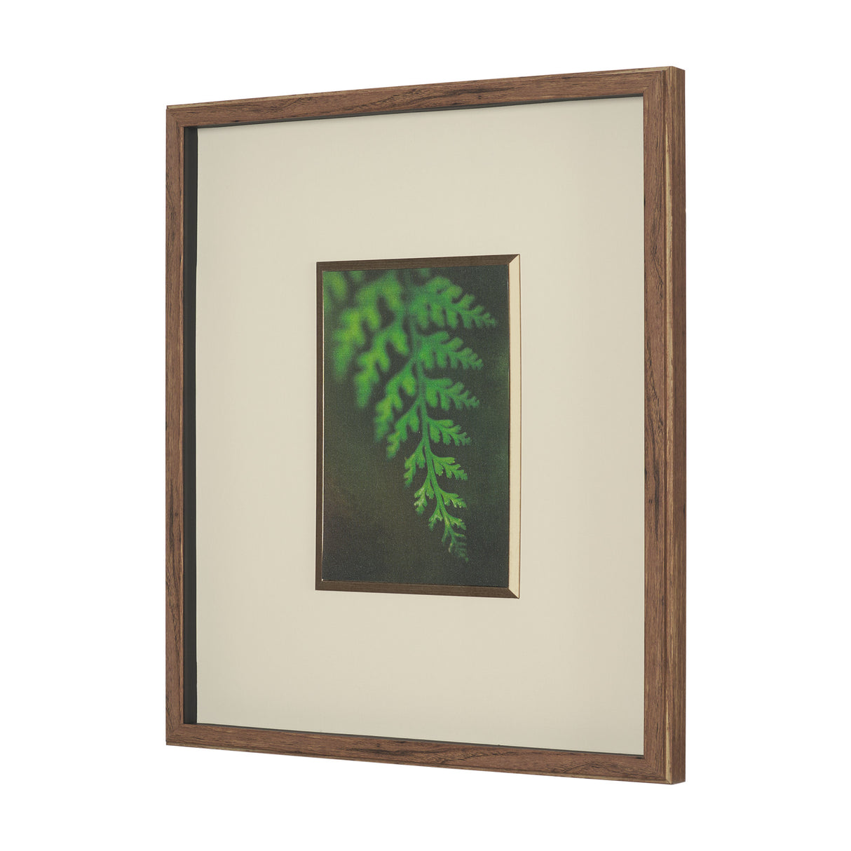 Floral Bliss by Michael Banks a Hand Embellished Framed Photo Art Print Matted under Glass from Mercana - Luna Furniture