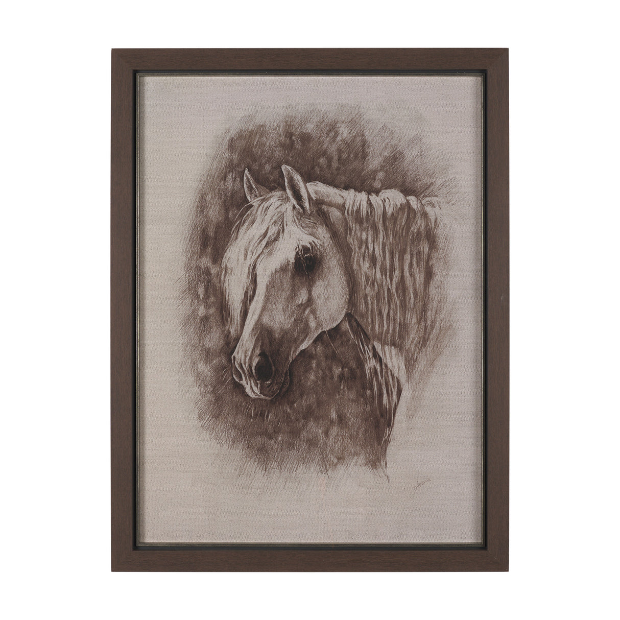 Portrait of a Thoroughbred I by Mercana Studio a Framed Art Print Matted under Glass from Mercana - Luna Furniture