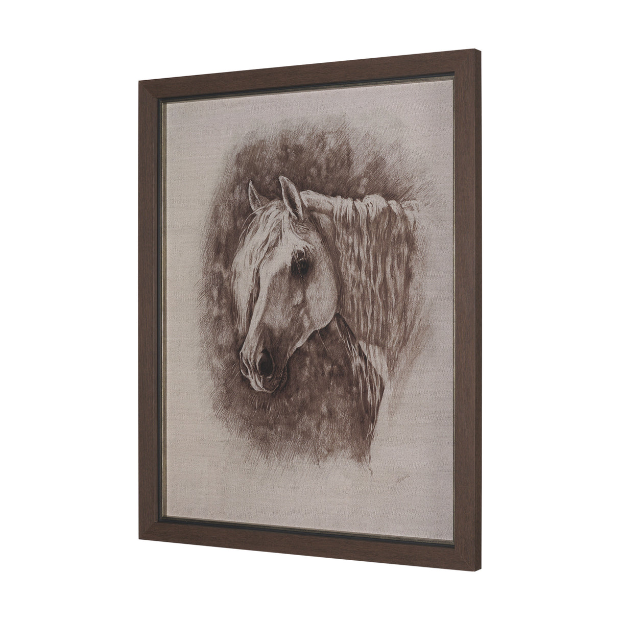 Portrait of a Thoroughbred I by Mercana Studio a Framed Art Print Matted under Glass from Mercana - Luna Furniture