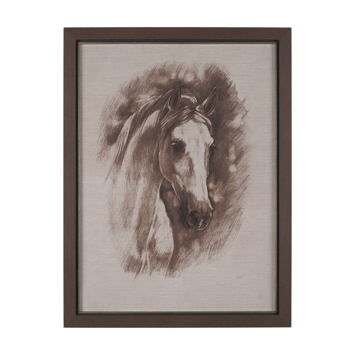 Portrait of a Thoroughbred II by Mercana Studio a Framed Art Print Matted under Glass from Mercana - Luna Furniture
