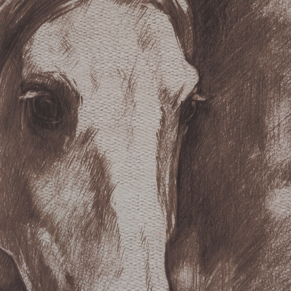 Portrait of a Thoroughbred II by Mercana Studio a Framed Art Print Matted under Glass from Mercana - Luna Furniture