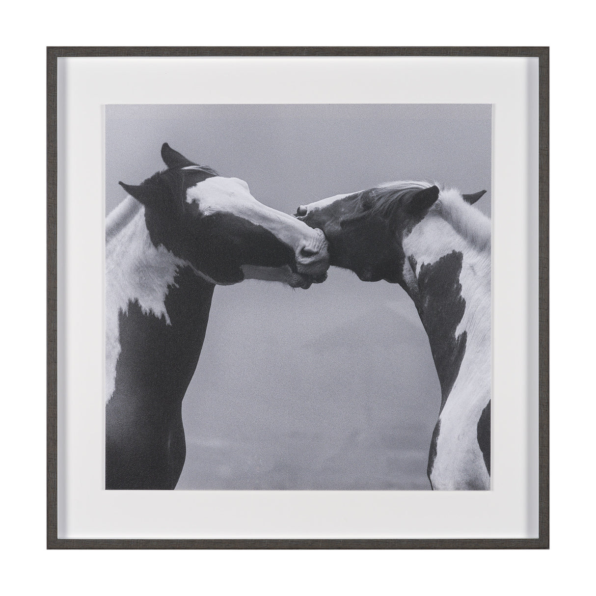 Horse Harmony - Nuzzle by Laura Warren a Hand Embellished Framed Photo Art Print Matted under Glass from Mercana - Luna Furniture