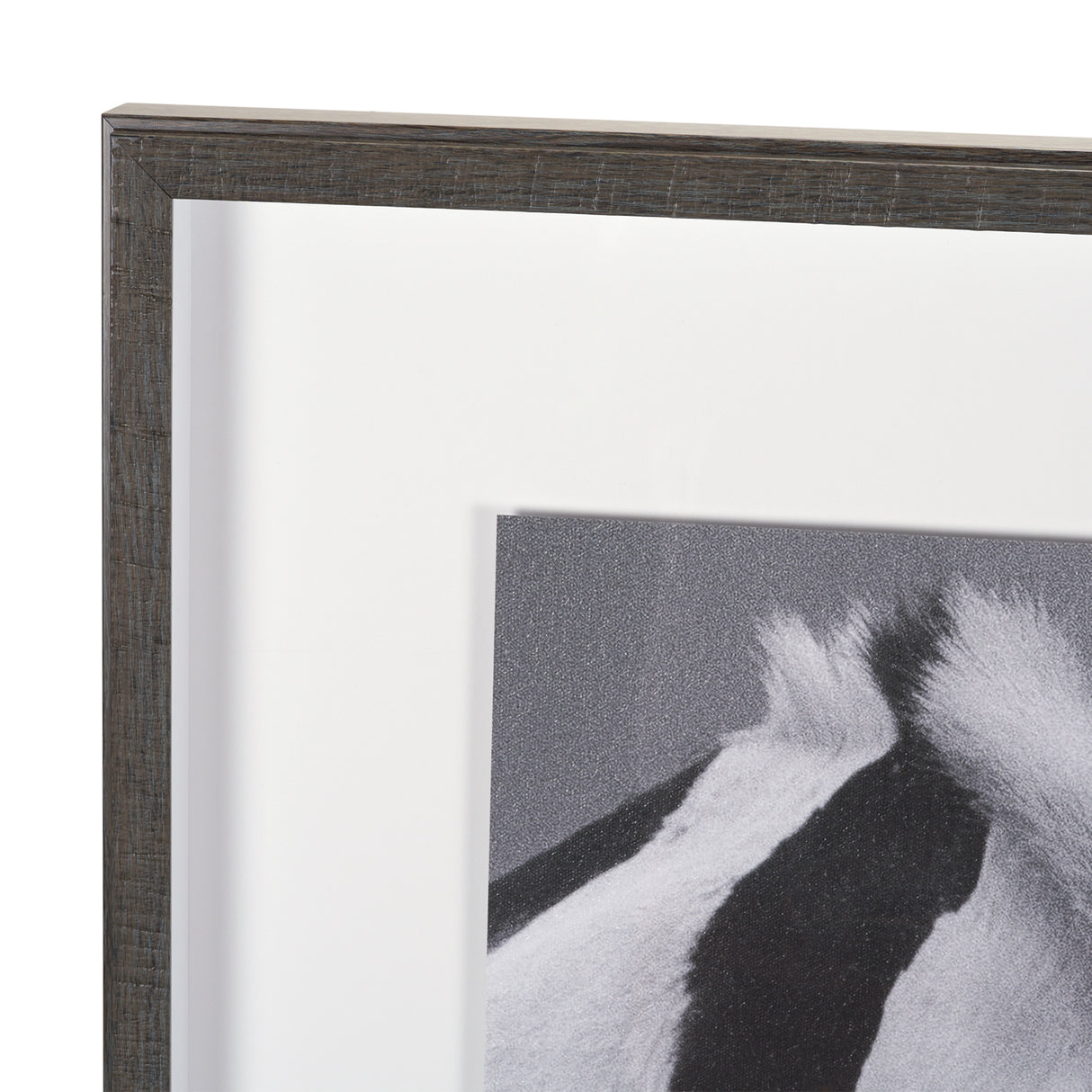 Horse Harmony - Nuzzle by Laura Warren a Hand Embellished Framed Photo Art Print Matted under Glass from Mercana - Luna Furniture
