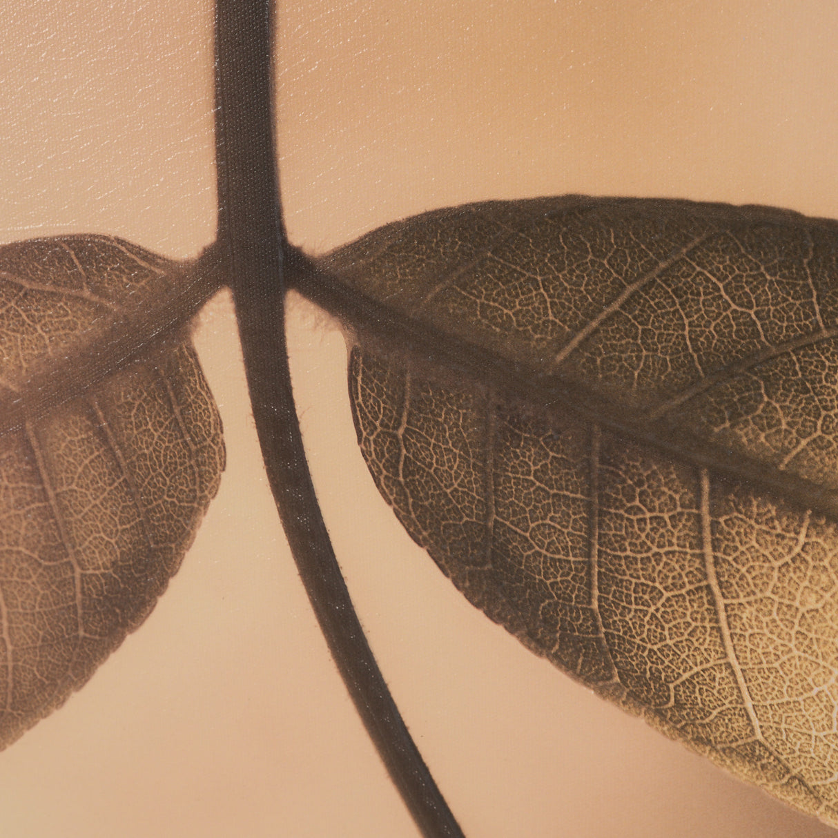 Leaf Imaging by Michael Banks a Hand Embellished Framed Photo Art Print Matted under Glass from Mercana - Luna Furniture