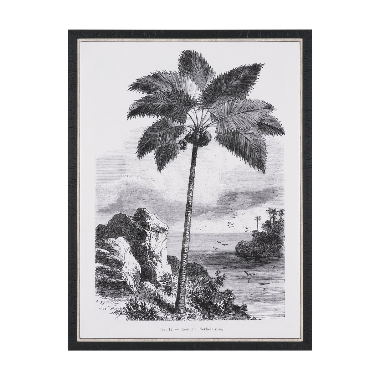 Vintage Palm Tree Drawing I by Les Palmiers Histoire Embellished Textured Framed Canvas from Mercana - Luna Furniture
