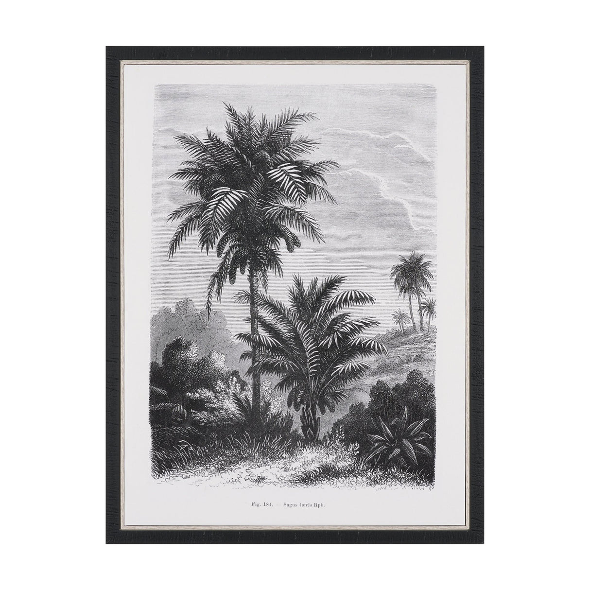 Vintage Palm Tree Drawing V by Les Palmiers Histoire a Hand Embellished Textured Framed Canvas from Mercana - Luna Furniture
