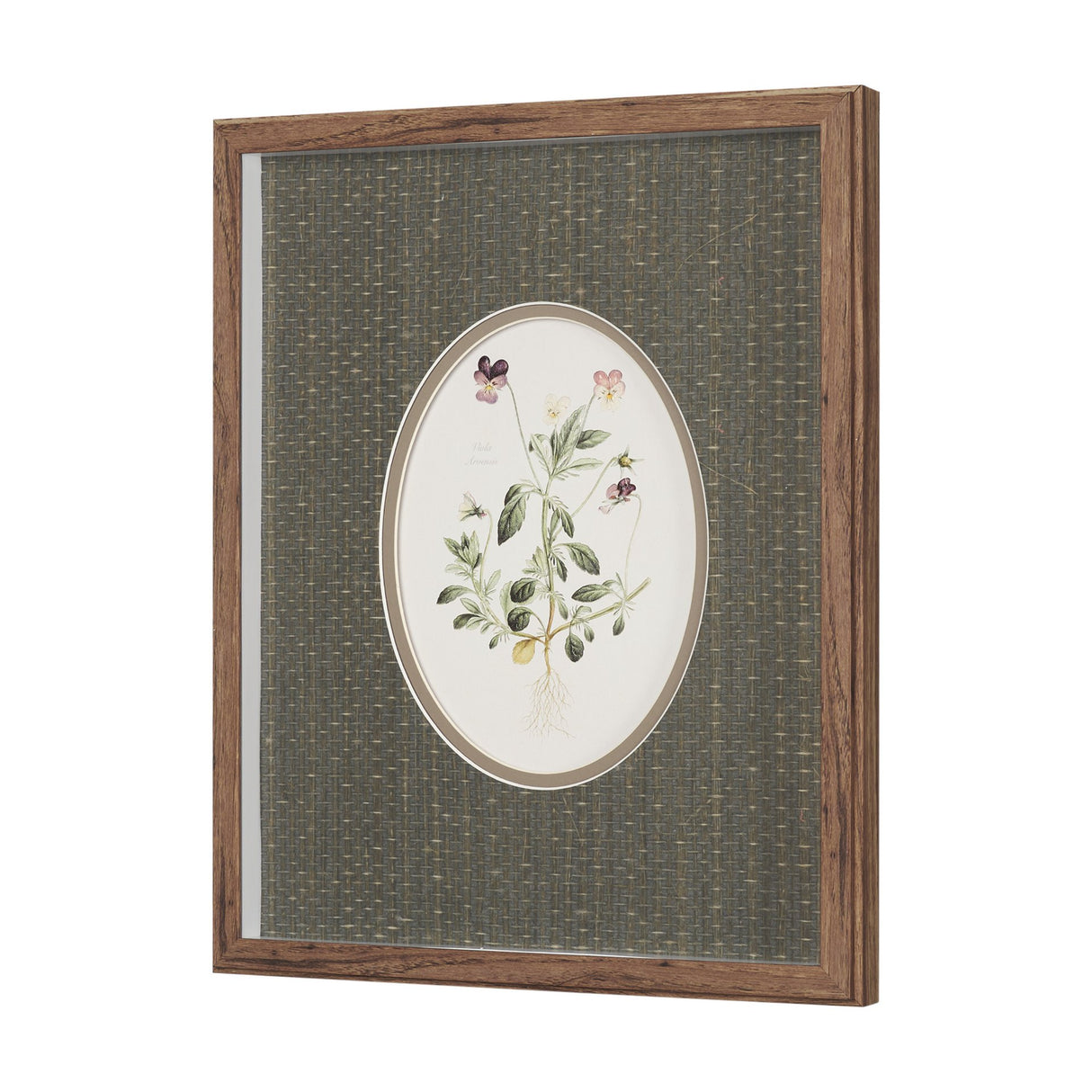 Viola Arvensis Flowers by Pierre Joseph Redoute a Hand Embellished Framed Print under Glass from Mercana - Luna Furniture