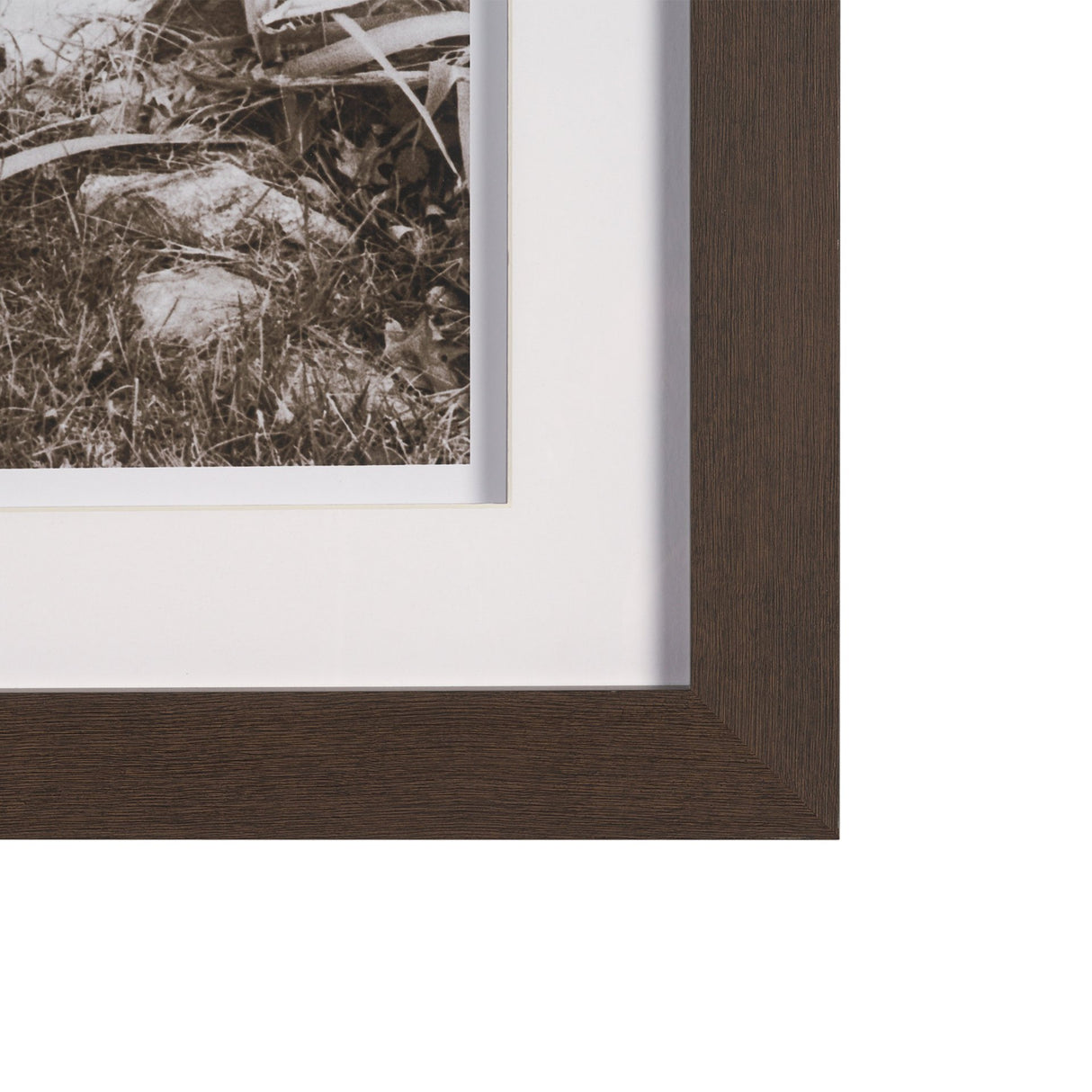 I am Home by Jim Dratfield a Framed Photo Print Matted Under Glass from Mercana - Luna Furniture