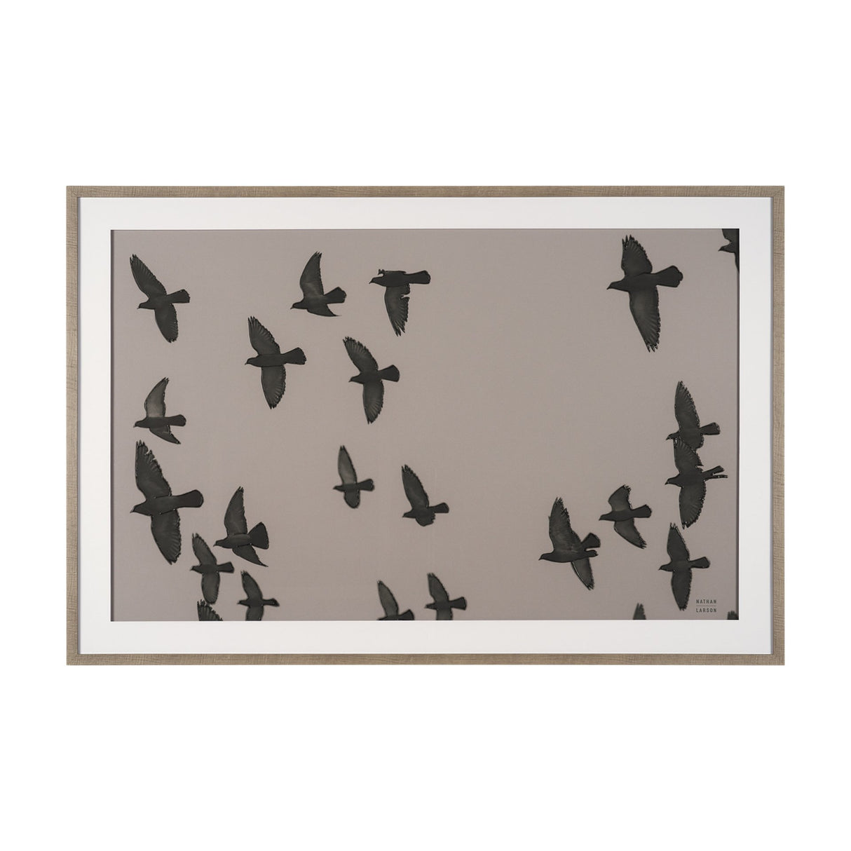 Flock I by Nathan Larson a Hand Embellished Framed Photo Print under Glass from Mercana - Luna Furniture
