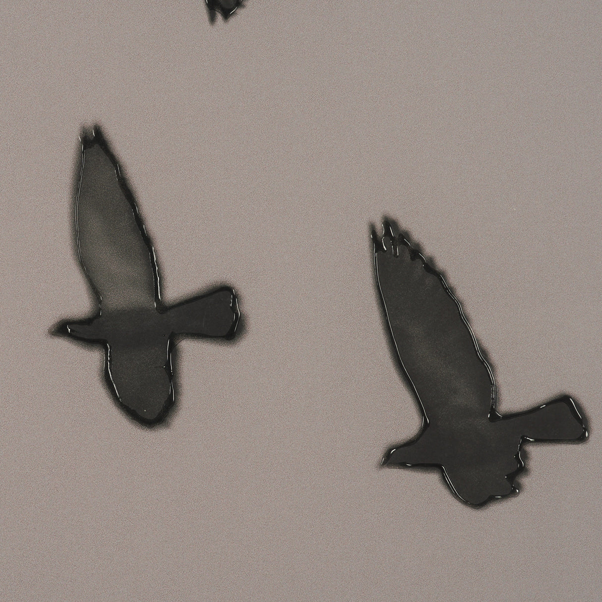 Flock I by Nathan Larson a Hand Embellished Framed Photo Print under Glass from Mercana - Luna Furniture