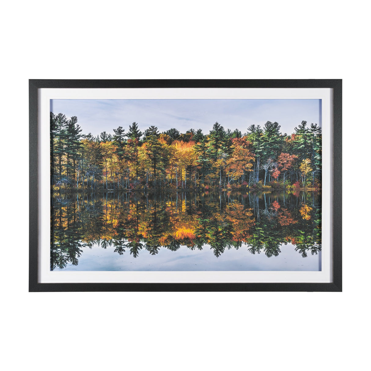 Fall Reflections by Dimitry Papkov Framed Art Print Matted under Glass from Mercana - Luna Furniture