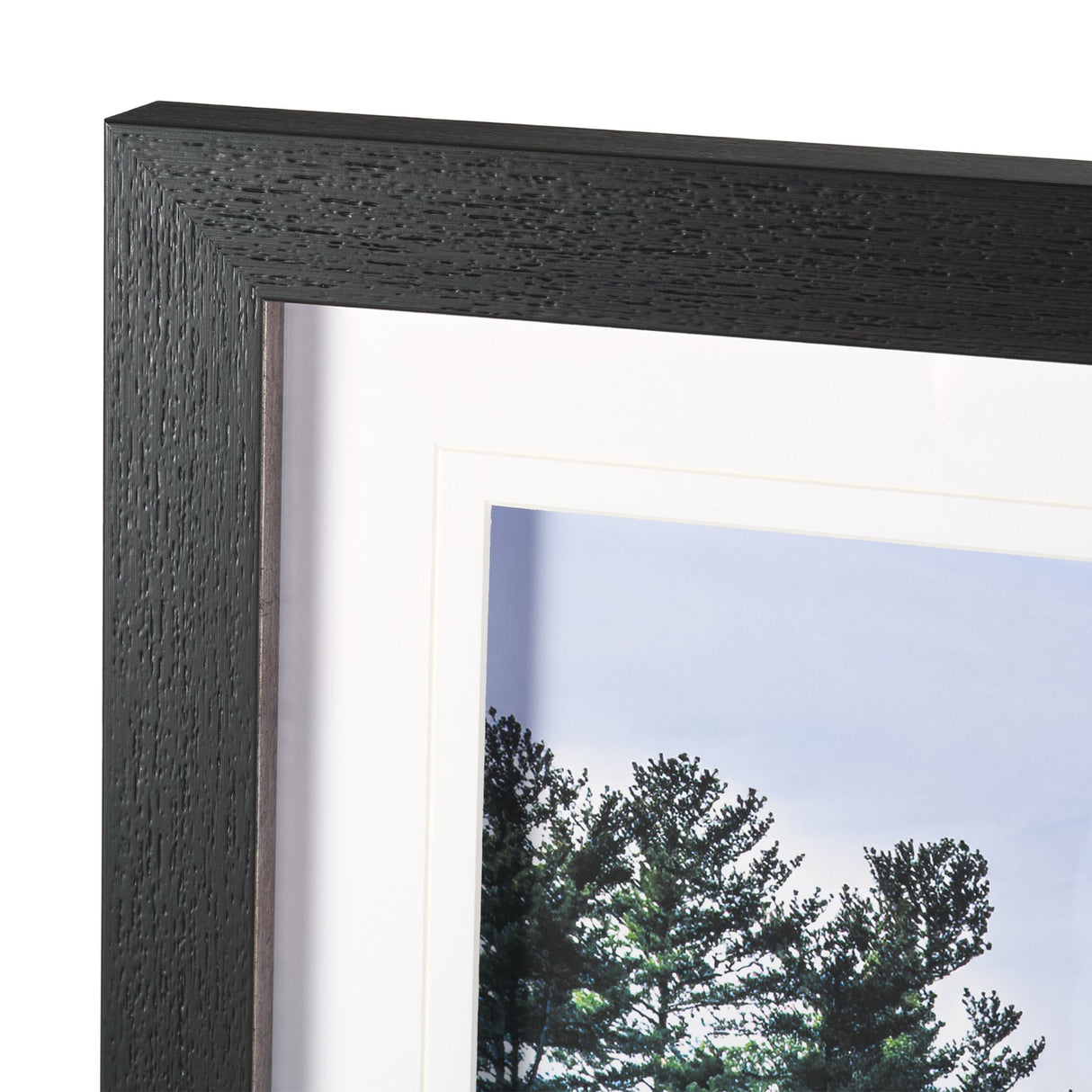 Fall Reflections by Dimitry Papkov Framed Art Print Matted under Glass from Mercana - Luna Furniture