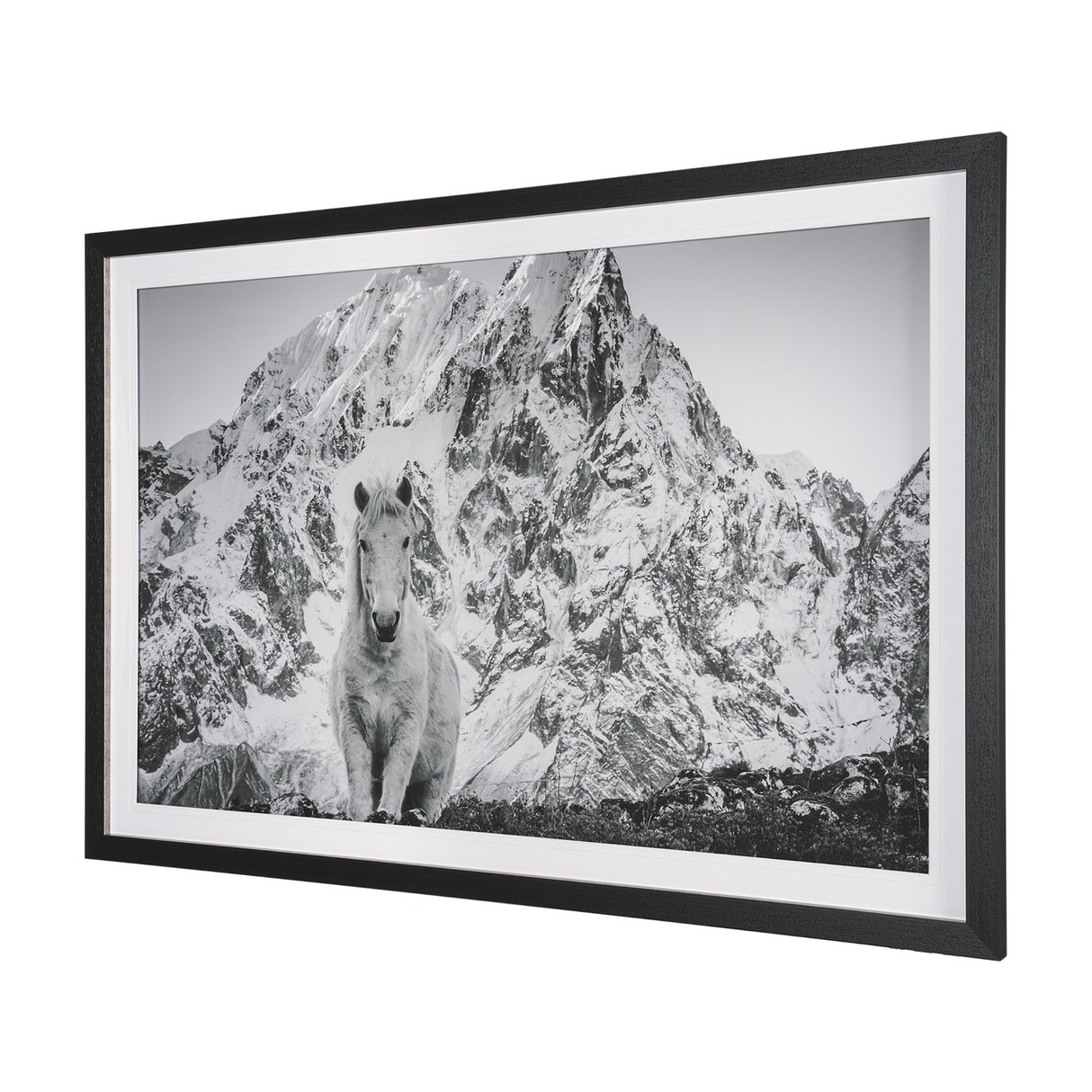 Majestic Mane - Snowscape by Matt Roseveare Framed Art Print Matted under Glass from Mercana - Luna Furniture