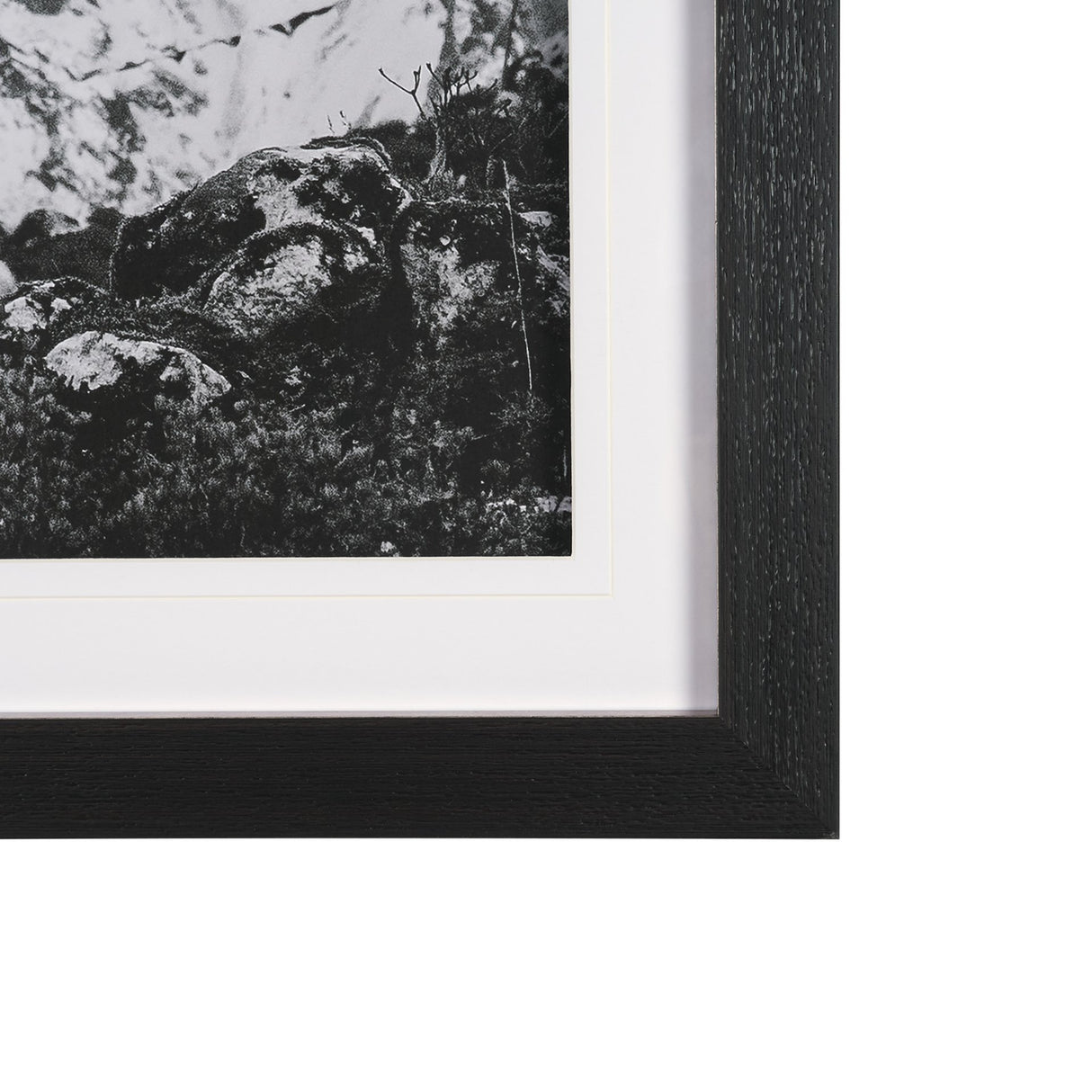 Majestic Mane - Snowscape by Matt Roseveare Framed Art Print Matted under Glass from Mercana - Luna Furniture