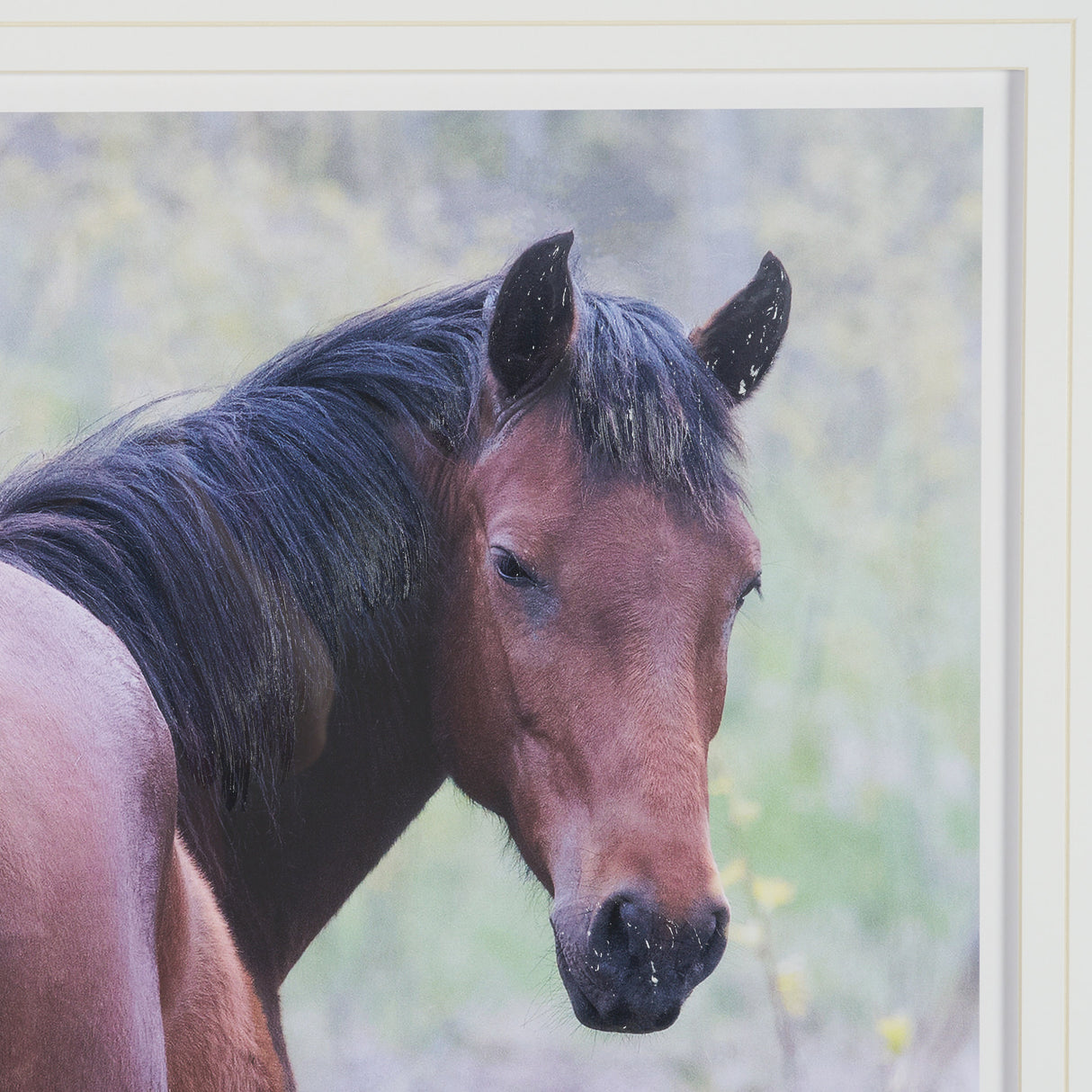 A Watchful Bond by Chad Mackay Hand Embelished Framed Art Print Matted under Glass from Mercana - Luna Furniture