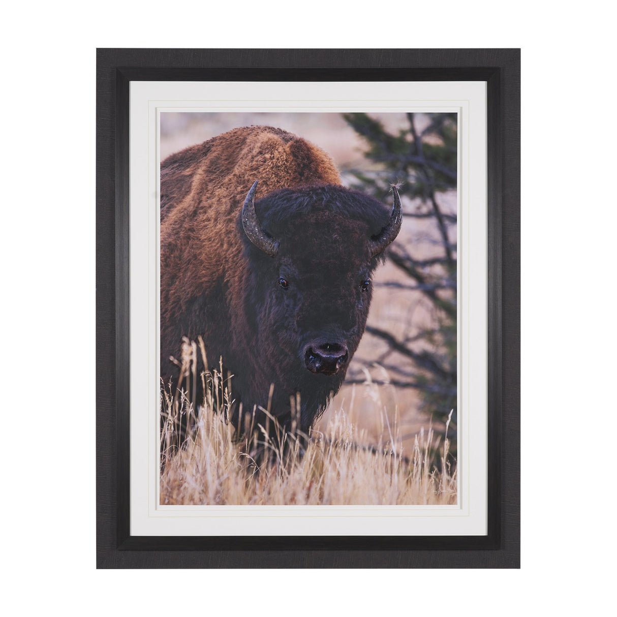 Stop Horsing Around by Gary Blatter Hand Embelished Framed Art Print Matted under Glass from Mercana - Luna Furniture