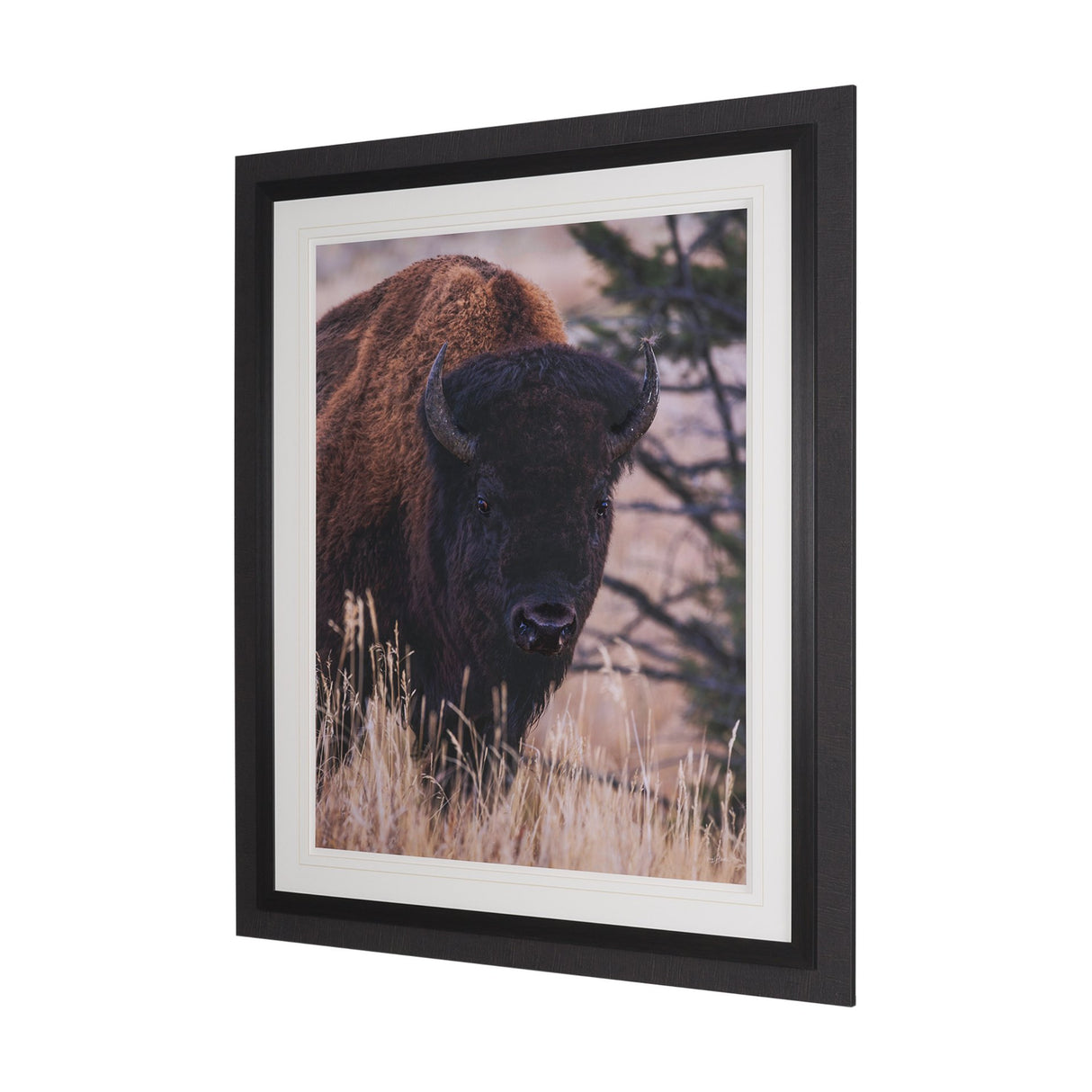 Stop Horsing Around by Gary Blatter Hand Embelished Framed Art Print Matted under Glass from Mercana - Luna Furniture