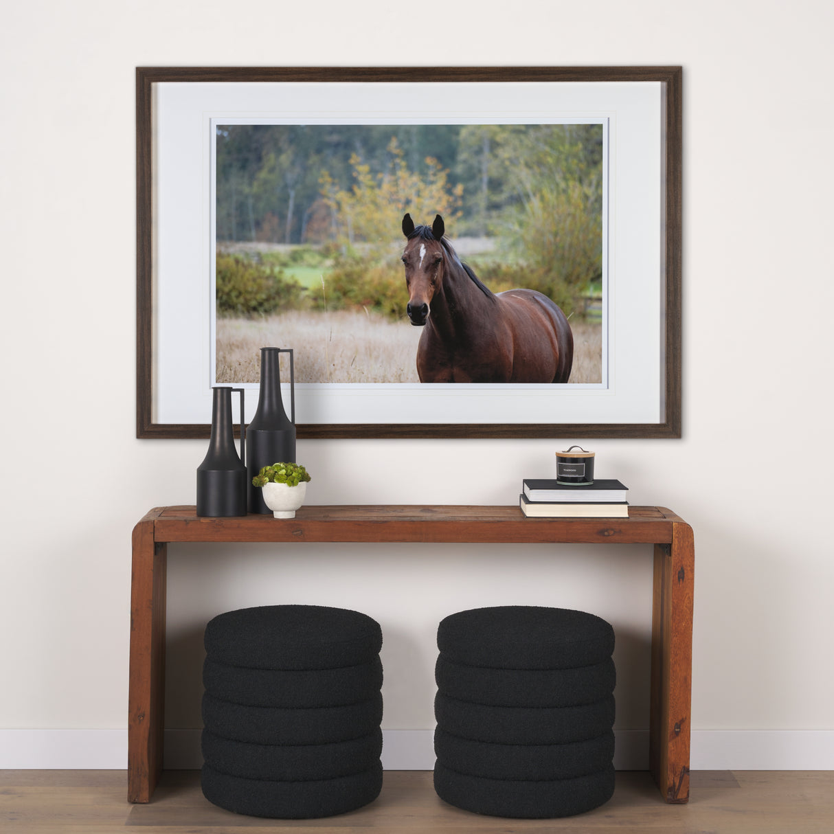 Charlie by Katelyn Mostert a Framed Photo Art Print Matted under Glass from Mercana - Luna Furniture