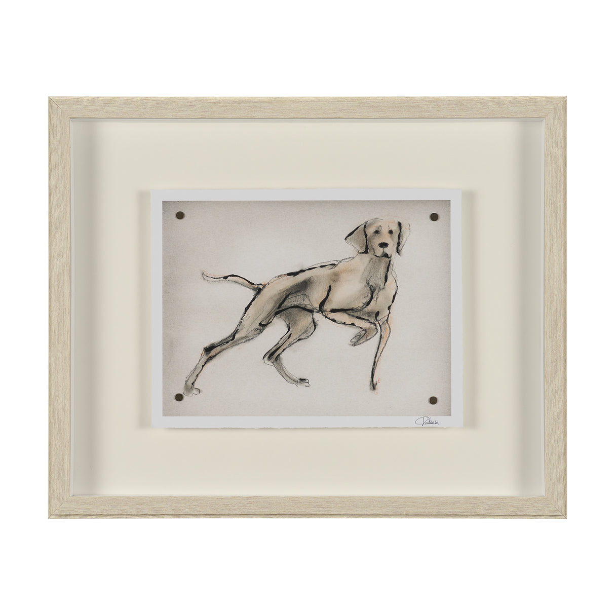 Playful Pup V by Mercana Studio Hand Embelished Framed Artwork Matted under Glass from Mercana - Luna Furniture