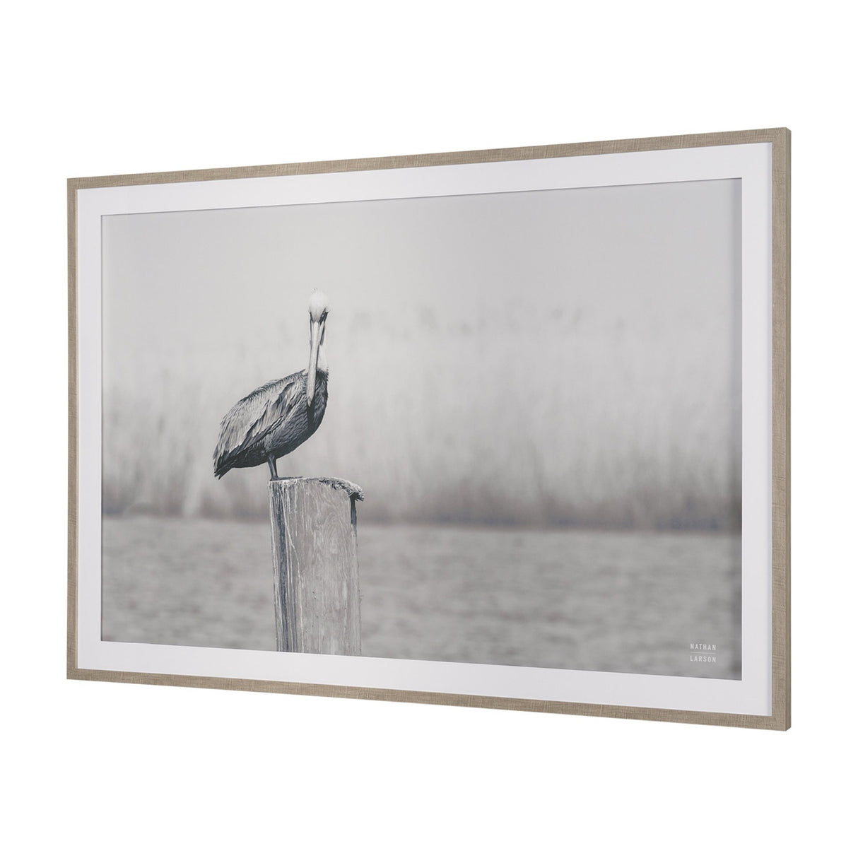 Pelican Stories by Nathan Larson Framed Art Print Matted under Glass from Mercana - Luna Furniture