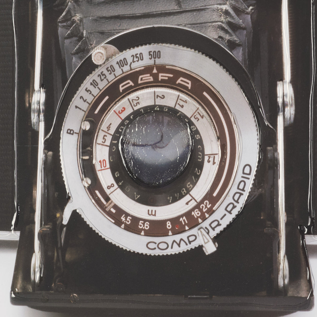 Camera by Deborah Revell Hand Embelished Framed Art Print Matted under Glass from Mercana - Luna Furniture
