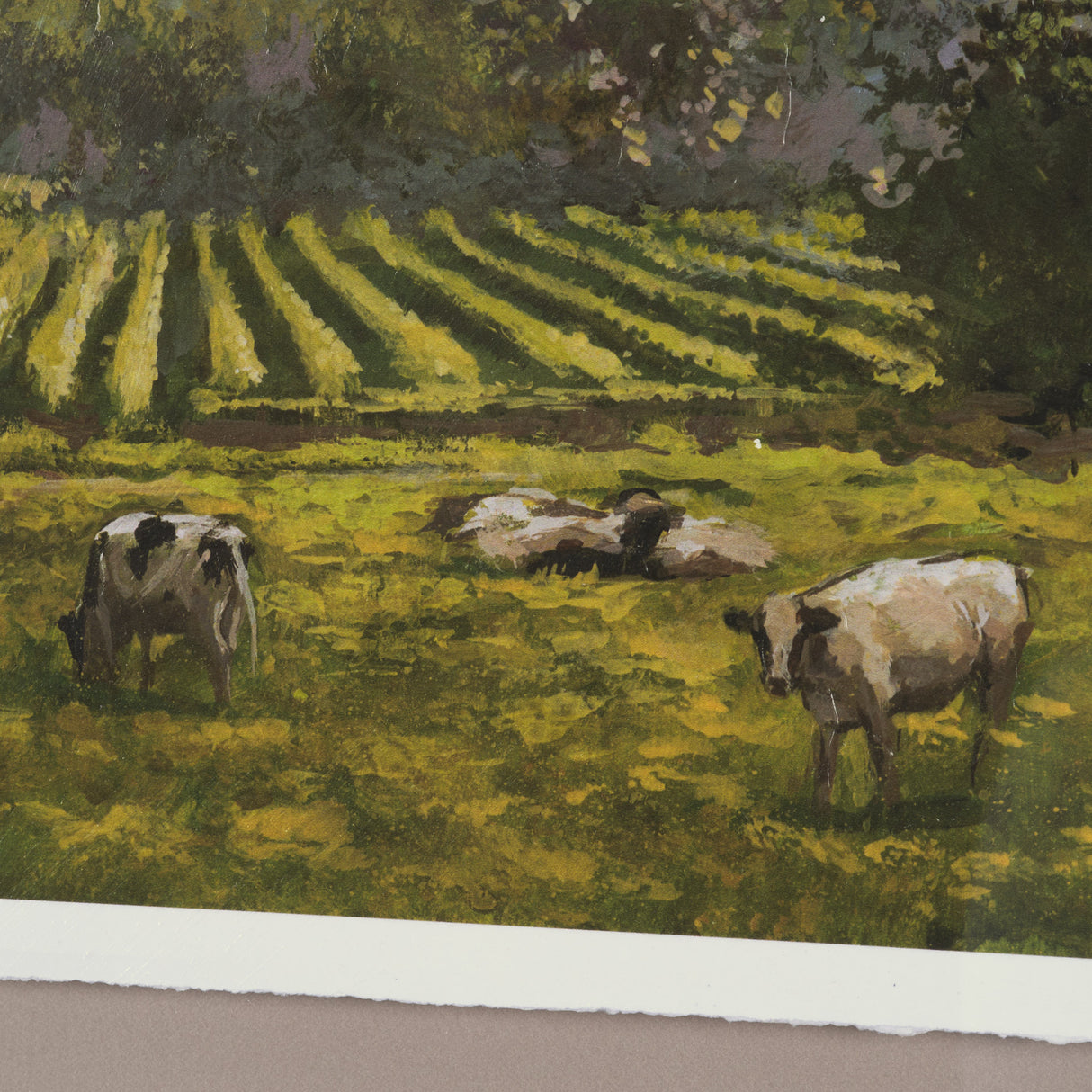 Country View(Set of 6) by Mercana Studio Hand-Embellished Textured Framed Artwork Matted under Glass from Mercana - Luna Furniture