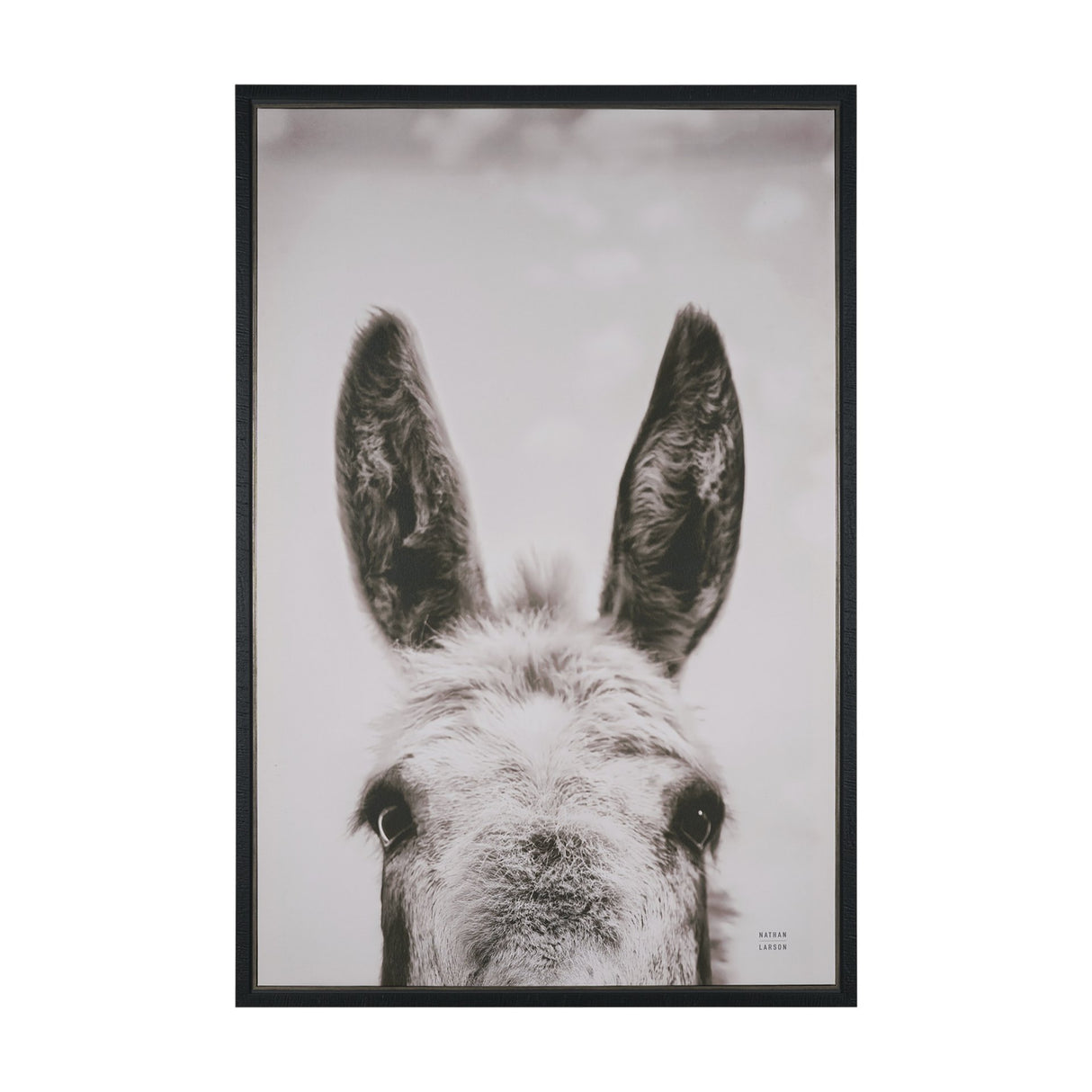 Downward Facing Donkey Sepia by Nathan Larson Textured Framed Canvas Photo Print from Mercana - Luna Furniture