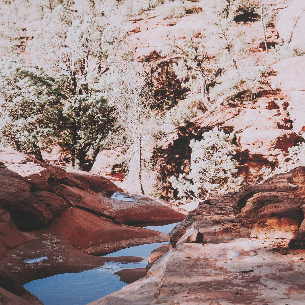 Sandstone in Sedona by Kelly Frere FramedPhoto Print Matted under Glass from Mercana - Luna Furniture