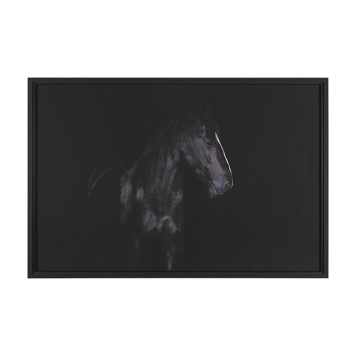 Majestic Midnight by Rehpoehler Framed Photo Print Matted under Glass from Mercana - Luna Furniture