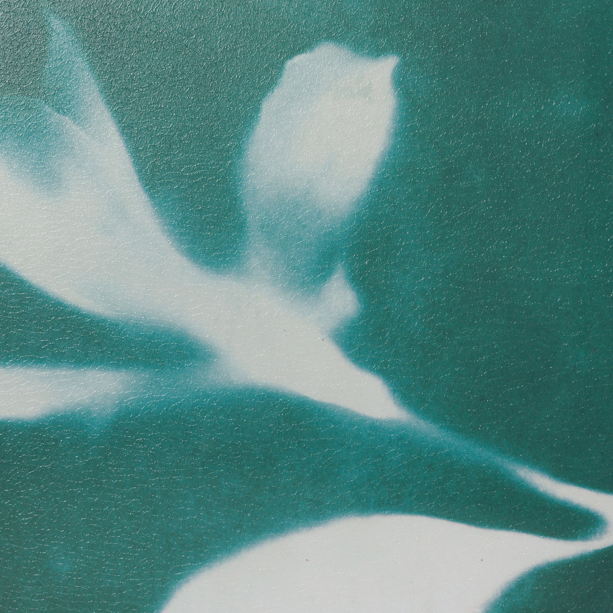 Untitled II by Liz St. Andre Textured Framed Artwork Matted under Glass from Mercana - Luna Furniture