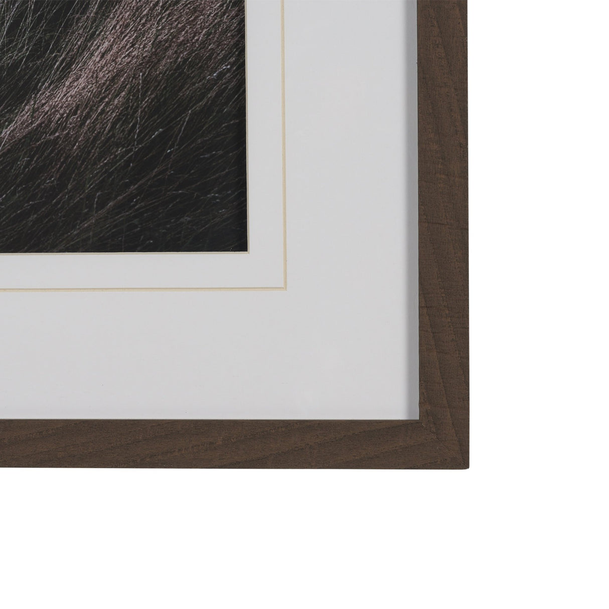 Beach Hut by Lotte Gronkjaer FramedPhoto Print Matted under Glass from Mercana - Luna Furniture