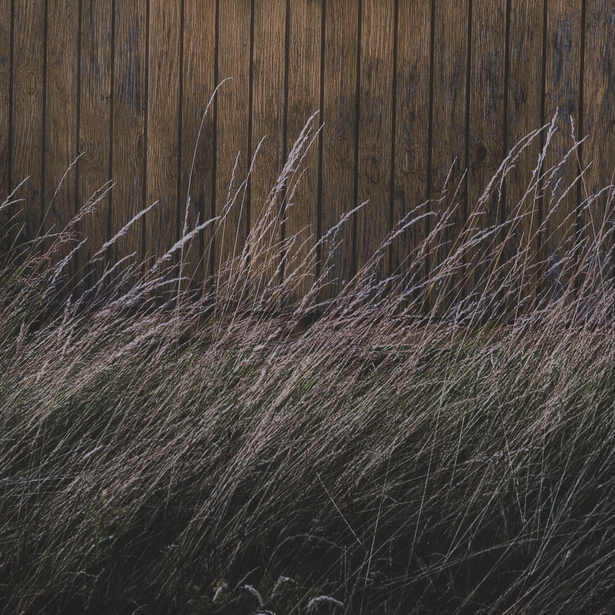Beach Hut by Lotte Gronkjaer FramedPhoto Print Matted under Glass from Mercana - Luna Furniture
