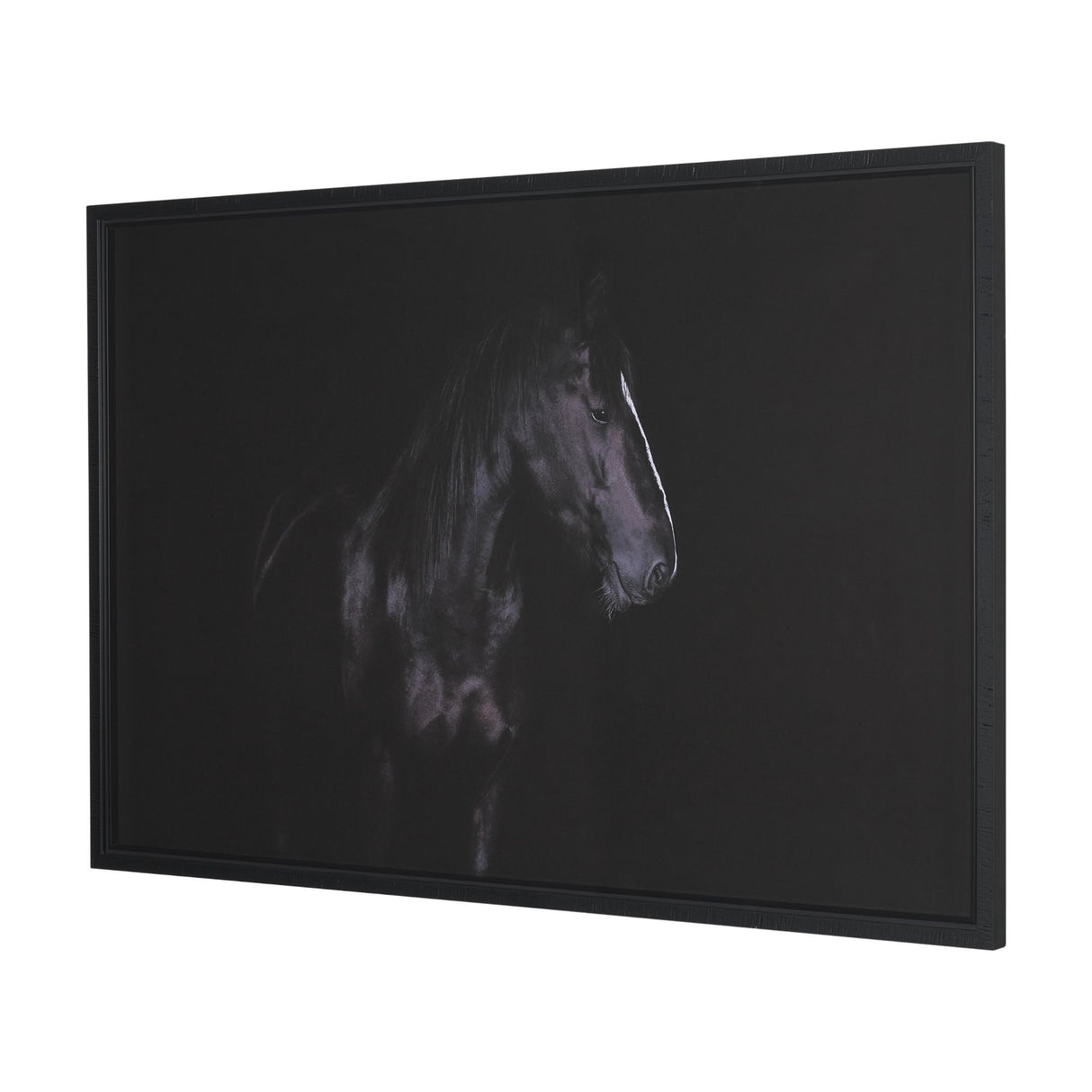 Majestic Midnight by Rehpoehler Framed Photo Print Matted under Glass from Mercana - Luna Furniture
