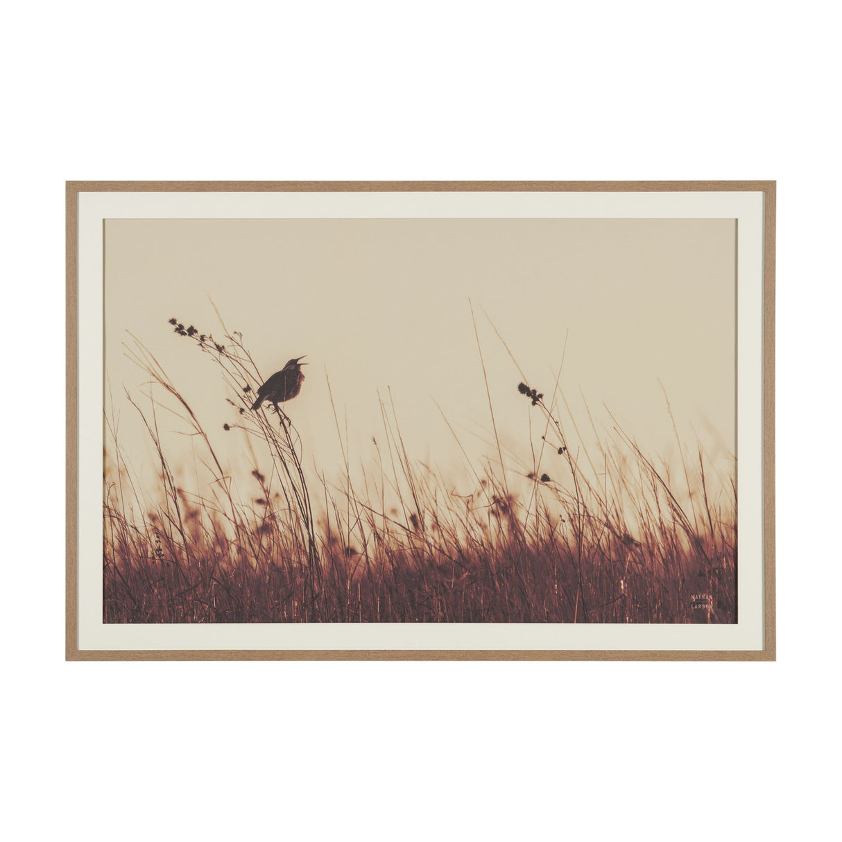 Meadowlark Call Antique by Nathan Larson FramedPhoto Matted under Glass from Mercana - Luna Furniture